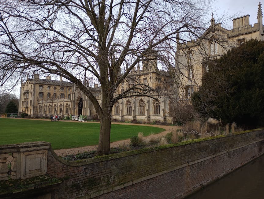 The image depicts a historic stone building with classical architectural features, including large rectangular windows with white frames, and a prominent central tower or spire with intricate detailing, rising above the roofline. The building is located outdoors, set on a slight elevation with a stone or concrete terrace in front. To the left, a tall, dense tree with dark green foliage partially obscures the view of the building, its branches extending toward the sky. In the foreground, a neatly trimmed hedge runs parallel to the building, adding greenery and a natural border to the scene. The sky above is mostly clear with a few scattered white clouds, and the lighting suggests a bright, sunny day. The setting appears to be a peaceful, well-maintained area, possibly part of a historic site or campus, with the overall scene conveying a sense of tranquility and architectural elegance relevant to local heritage and private site clearance activities like those offered by Rubbish Removal Merton in managing grounds and disposal needs after renovation or preservation projects.